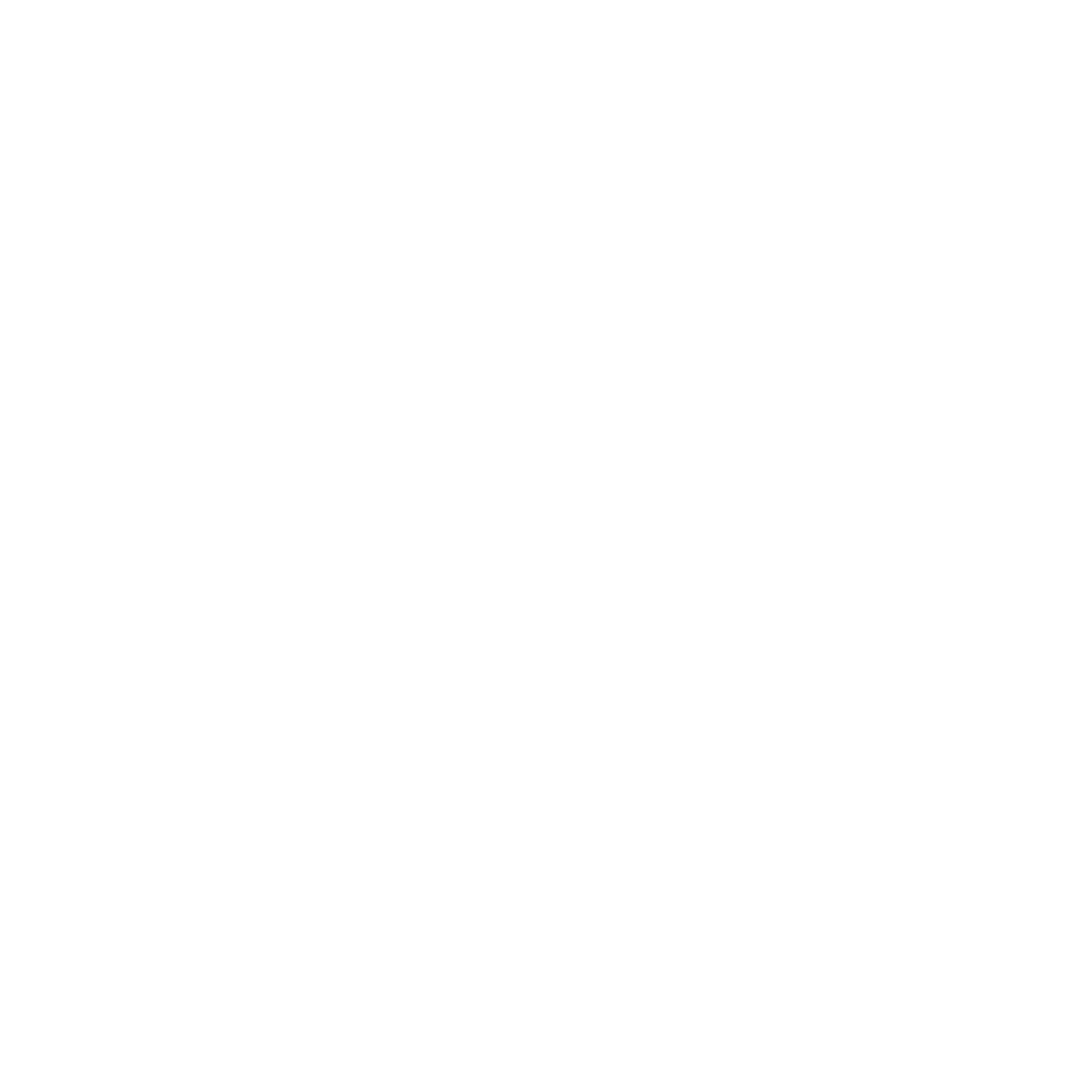 Expert founder-level management